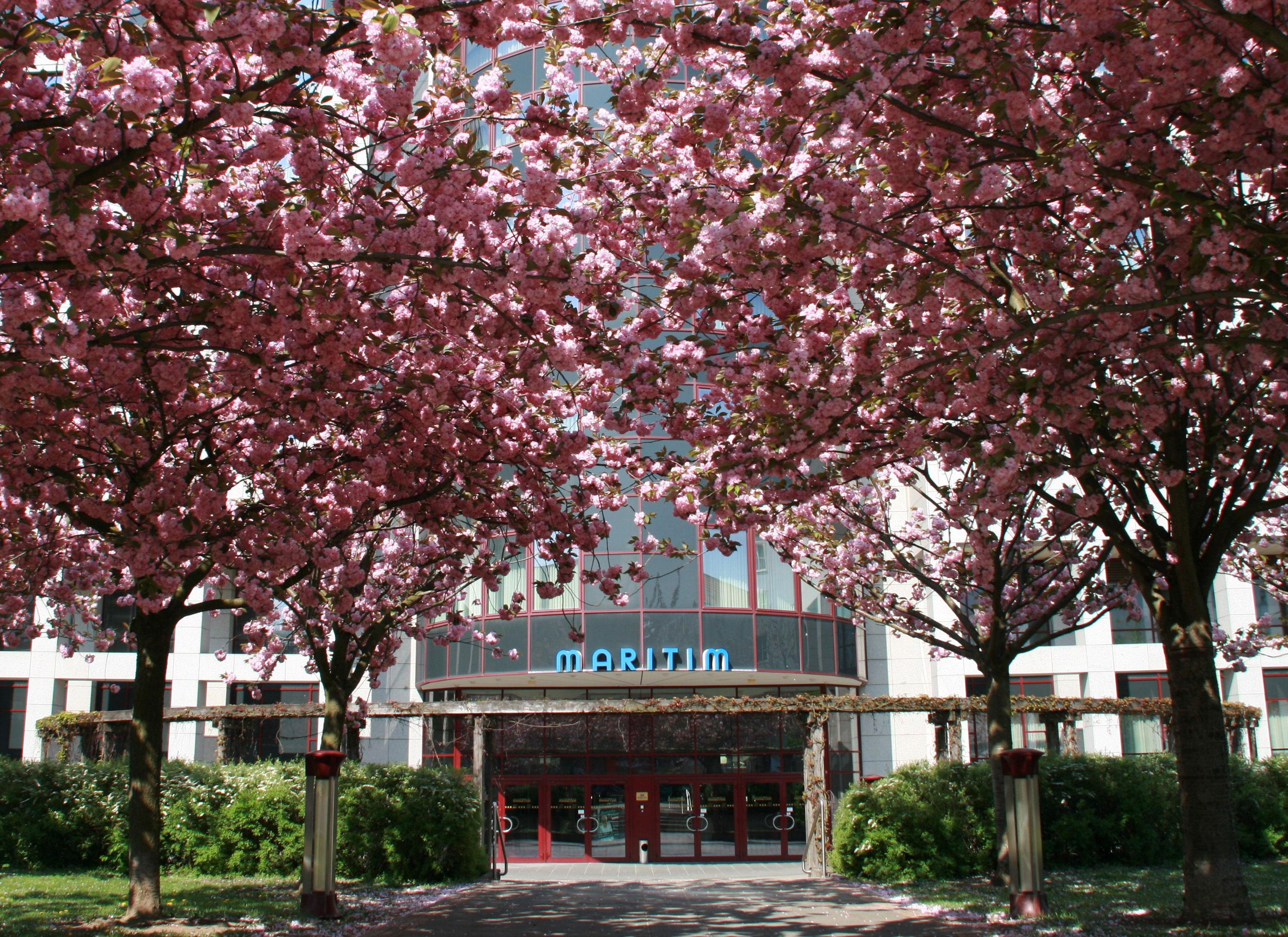 Maritim Hotel Magdeburg Bagian luar foto